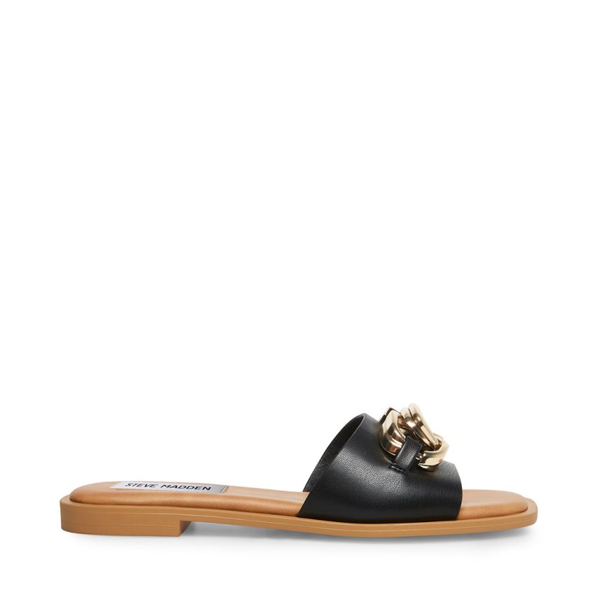 Black Steve Madden Gene Women\'s Slides | PH 2159WDE